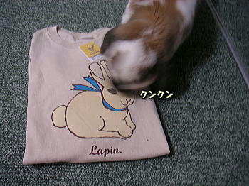 080311.jpg