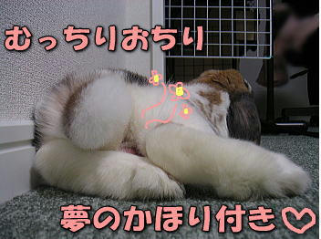 080311_1.jpg