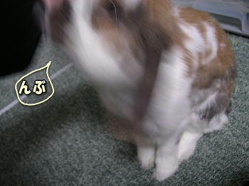 080315_1.jpg