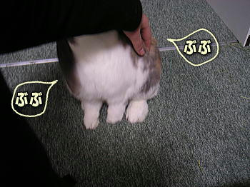 080315_2.jpg