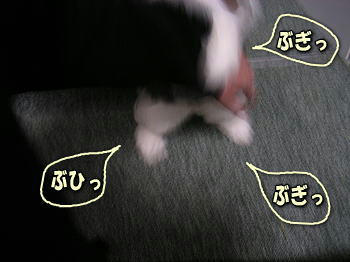 080315_3.jpg