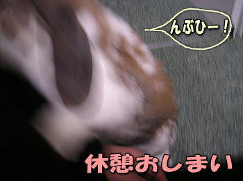 080315_6.jpg