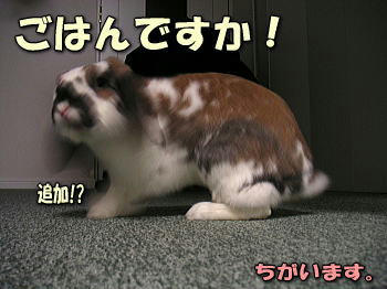 080320_3.jpg