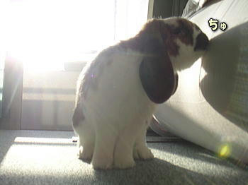 080323_8.jpg