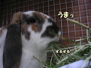 080323_3.jpg