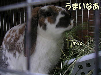 080323_4.jpg