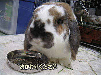 080404_1.jpg