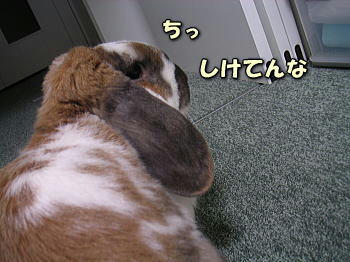 080404_5.jpg