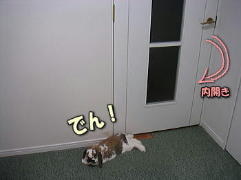 080406_1.jpg