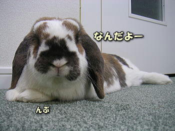 080406_2.jpg