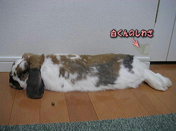 080419_4.jpg