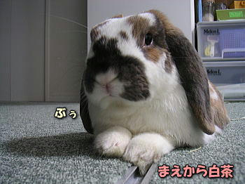 080420_5.jpg