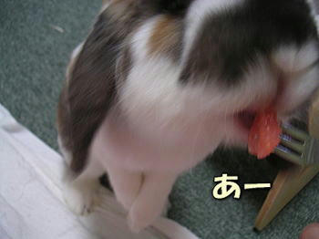 080425_3.jpg