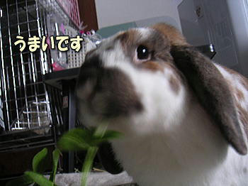 080503_1.jpg