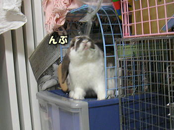 080512_3.jpg