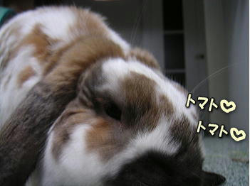 080514_2.jpg