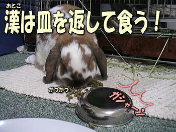 080530_1.jpg