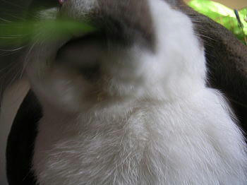 080605_4.jpg
