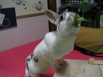 080612_10.jpg