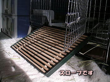 080620.jpg