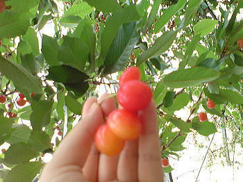 080623_1.jpg
