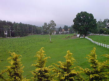 080623_3.jpg