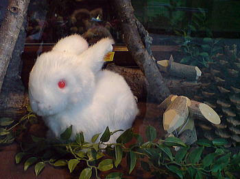 080623_4.jpg