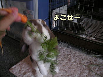 080628_3.jpg