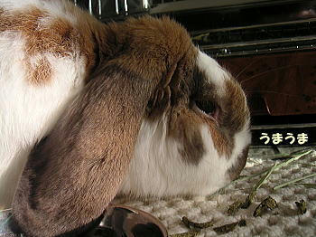 080703_7.jpg