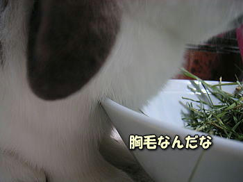 080714_4.jpg