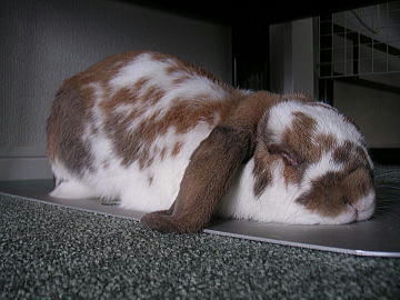 080802_1.jpg