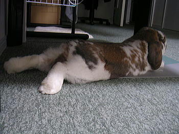 080805_1.jpg
