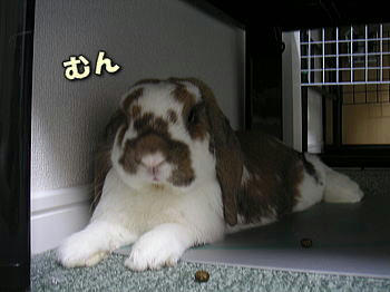 080805_3.jpg