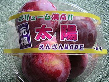 080809_1.jpg