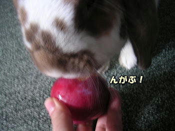 080809_2.jpg