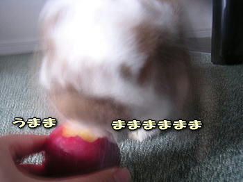 080809_3.jpg