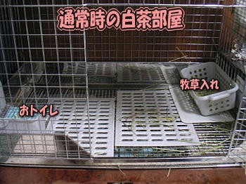 080820_1.jpg