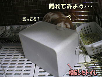 080820_3.jpg