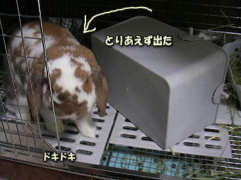 080820_5.jpg