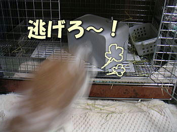 080820_6.jpg