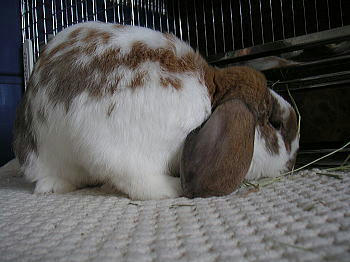 080901_1.jpg
