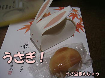 080913_3.jpg
