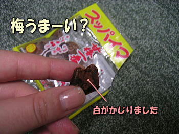 080914_1.jpg