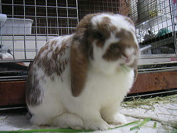 080920_1.jpg