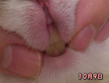 081009_1.jpg