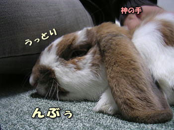 081104_2.jpg