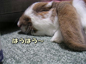 081104_9.jpg