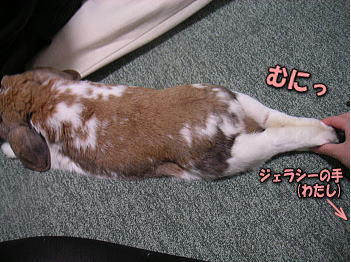 081104_5.jpg