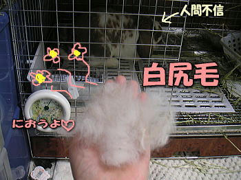 081122_1.jpg