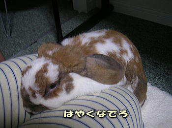 081124_2.jpg